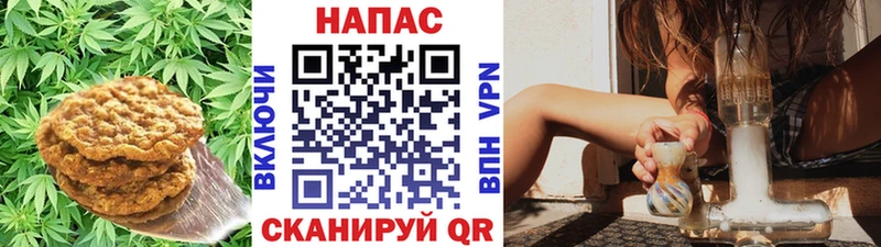 Canna-Cookies конопля Вичуга