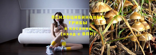 сатива Балабаново