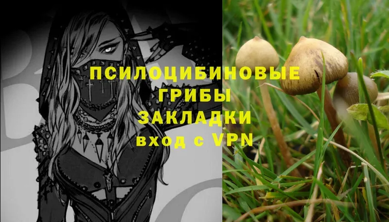 Галлюциногенные грибы Magic Shrooms  Вичуга 