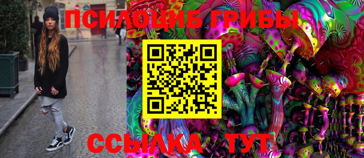Псилоцибиновые грибы прущие грибы Вичуга
