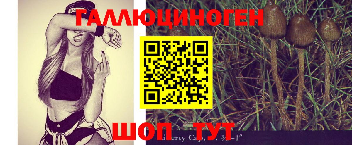 Вичуга  Галлюциногенные грибы Psilocybine cubensis  Вход с VPN 