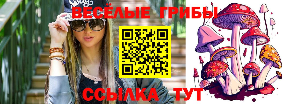 Псилоцибиновые грибы мицелий  Вичуга 