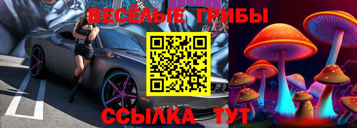Галлюциногенные грибы GOLDEN TEACHER Вичуга